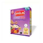 Nestlé Cerelac 5 Fruits & Multi Grains (18 months +) BIB